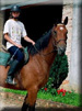 cliquer pour agrandir